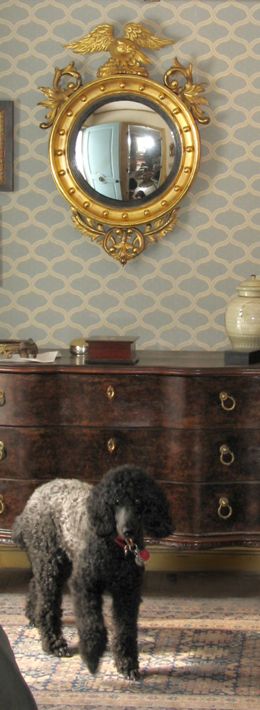 Convex Eagle Mirror